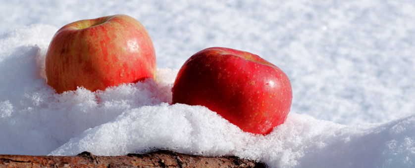 appels in sneeuw